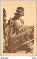 FLEURS SAUVAGES   COLLECTION L'AFRIQUE R.  PROUHO HUSSEIN DEY - Autres & Non Classés