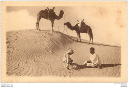 CHAMELIERS AU DESERT DANS LE GRAND ERG  COLLECTION L'AFRIQUE R.  PROUHO HUSSEIN DEY - Andere & Zonder Classificatie