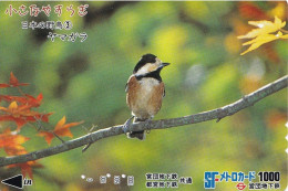 Japan Prepaid SF Card 1000 - Animals Bird - Giappone