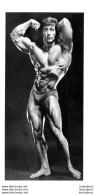 PHOTO HOMME  EN MAILLOT DE BAIN CULTURISME CULTURISTE  19 X 10 CM - Deportes