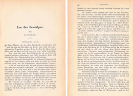 A102 1492 Purtscheller Seealpen Alpes Maritimes Westalpen Artikel 1893 - Otros & Sin Clasificación