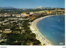 Haute Corse CALVI La Pinède & La Plage Postée De L'ILE ROUSSE En 1979 Charmes Et Couleurs De La Corse éditions La Cigale - Calvi