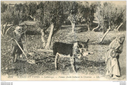 LABOURAGE FEMME ARABE TRAINANT LA CHARRUE - Cultivation