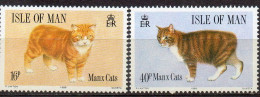 Isle Of Man Chats , Cats , Katten XXX - Man (Eiland)