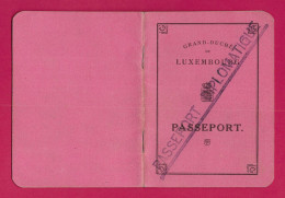 Passeport Diplomatique Du Grand Duché De Luxembourg - Protagoniste Dénommé François Nothumb, Consul - Decrees & Laws