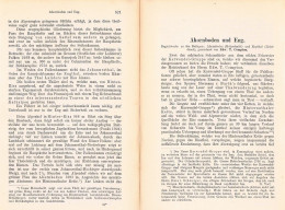 A102 1500 Compton Ahornboden Alpe Eng Bayern Tirol Artikel 1884 - Otros & Sin Clasificación