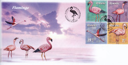 BIRDS FLAMINGO,2021 COVERS  FDC , ROMANIA. - Flamingo's