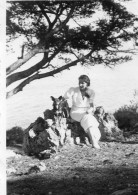 Photographie Photo Vintage Snapshot Chien Dog Arbre Tree Coast - Autres & Non Classés