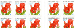 Les Tulipes Tulpen 2001 XXX - 1961-2001