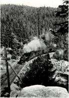 Schmalspurbahn Wolkenstein - Jöhstadt (DDR) - Trains