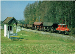 100 Jahre SETG-SVB Lokalbahnen Salzburg / E11 - Treinen