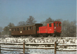 Österreich - Schmalspurlokomotive 2190 003-0 - Treinen