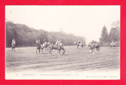 F-60-Chantilly-18A81  La Pelouse Avec Chevaux à L'exercice, Animation, Cpa BE - Chantilly