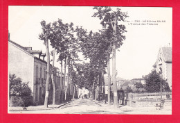 F-03-Neris Les Bains-17A28  L'avenue Des Platanes, Cpa BE - Neris Les Bains