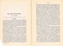 A102 1510 August Rothpletz Karwendelgebirge Tirol Bayern Artikel 1888 - Autres & Non Classés