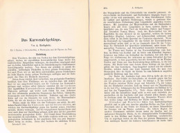 A102 1510 August Rothpletz Karwendelgebirge Tirol Bayern Artikel 1888 - Andere & Zonder Classificatie