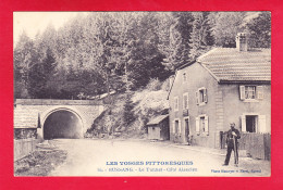 F-88-Bussang-12A27  Le Tunnel, Côté Alsacien, Cpa BE - Bussang