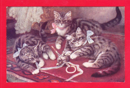 Animaux-588Ph116  Chatons Qui Jouent Avec Un Hochet, Cpa Oilette BE - Katzen