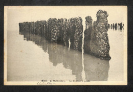 17 - CHATELAILLON - La Mytiliculture - Les Bouchots à Moules (peu Courante) - Châtelaillon-Plage