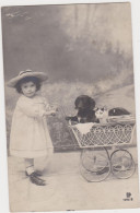 Dackel Teckel Dachshund  Bassotto Cat  Pram Chien Cani, Hunde. Old Dog PC. Cpa. 1908 - Chiens