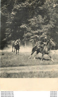 LE HARAS DU PIN PHOTO PAPIER  23 X 15 CM - Lugares