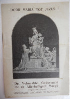 De Volmaakte Godsvrucht Tot De Allerheiligste Maagd Volgens Den Zaligen Louis-Marie Grignion De Montfort / 1931 - Oud