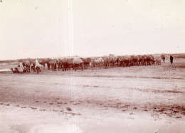 Photographie Photo Vintage Snapshot Afrique Tunisie Kairouan - Afrique