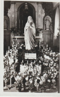 Calvados : Genre  Photo : CURCY , La  Vierge Dans L  église - Autres & Non Classés