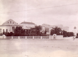 Photographie Photo Vintage Snapshot Afrique Tunisie Tunis Le Bardo - Afrique