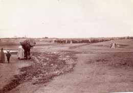 Photographie Photo Vintage Snapshot Afrique Tunisie Kairouan - Africa