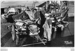 LES SABLES D'OLONNE DECHARGEMENT DU POISSON - Sables D'Olonne