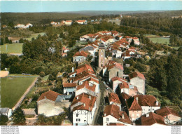 MONTHUREUX SUR SAONE VUE GENERALE AERIENNE - Monthureux Sur Saone