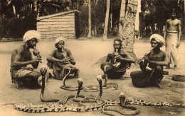 Ceylon * Carte Photo * Snake Charmers * Charmeurs De Serpents * Ceylan Sri Lanka - Sri Lanka (Ceylon)