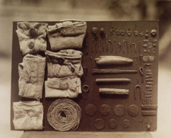 An Ostrich Bird Stomach Contents Of Frederick Bond Photo Study RPC Postcard - Photographs