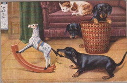 Dackel Teckel Dachshund  Bassotto Cat Rocking Horse Chien Cani, Hunde. Old Dog PC. Cpa. 1918 - Chiens