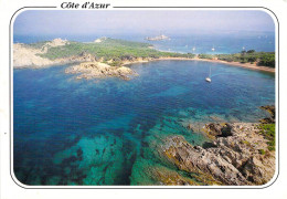 83 - L'Ile De Porquerolles - La Plage Noire Du Langoustier - Porquerolles