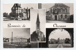 - CPSM CHERVEUX (79) - Château - Eglise - Mairie - Ecoles - Logis De La Carte - Editions Marceau Carrière - - Otros & Sin Clasificación