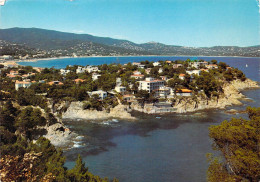 83 - Cavalaire Sur Mer - Le Cap Et La Baie - Cavalaire-sur-Mer