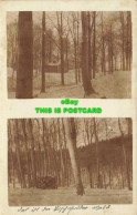 R620046 Unknown Place. Trees. Snow. Nature. 1935. Multi View - Mundo