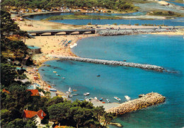 83 - Saint Aygulf - Vue Aérienne Du Port, La Plage Et Le Camping - Saint-Aygulf