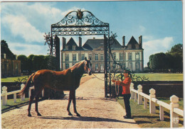 Orne : Le  Haras Du Pin , Carmathen , Cheval étalon, 1975 - Alencon