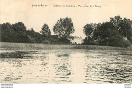 JOUY LE POTIER CHATEAU DE CENDRAY VUE PRISE DE L'ETANG - Sonstige & Ohne Zuordnung