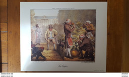 LITHOGRAPHIE LANGLUME EDITION PARIENTE 1989 LES LOUPES  36 X 29 CM  AMBOISE TARDIEU EDITEUR DU BATTOIR - Lithographies