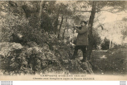 SERBIE CHASSE AUX SANGLIERS - Serbia