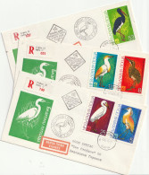 Bulgarije 1981, 3 Registered FDC, Birds - FDC