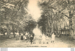 TOULON SUR ARROUX PROMENADE - Autres & Non Classés