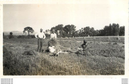 PARENTIGNAT LA MOISSON   PHOTO ORIGINALE FORMAT 11 X 6.50 CM - Places