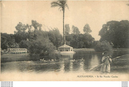 ALEXANDRIA IN THE NOUZHA GARDEN - Alexandria