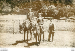 CARTE PHOTO CHEVAL ET ANE - A Identifier