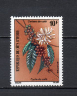 COTE D'IVOIRE N° 384    NEUF SANS CHARNIERE COTE 0.60€   FLEUR FLORE CAFE - Ivory Coast (1960-...)